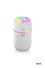 GlowMist Mini Humidifier