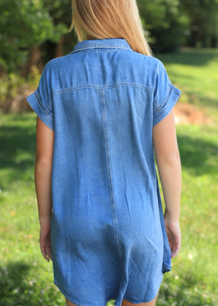 The Brielle Lyocell Shirt Dress