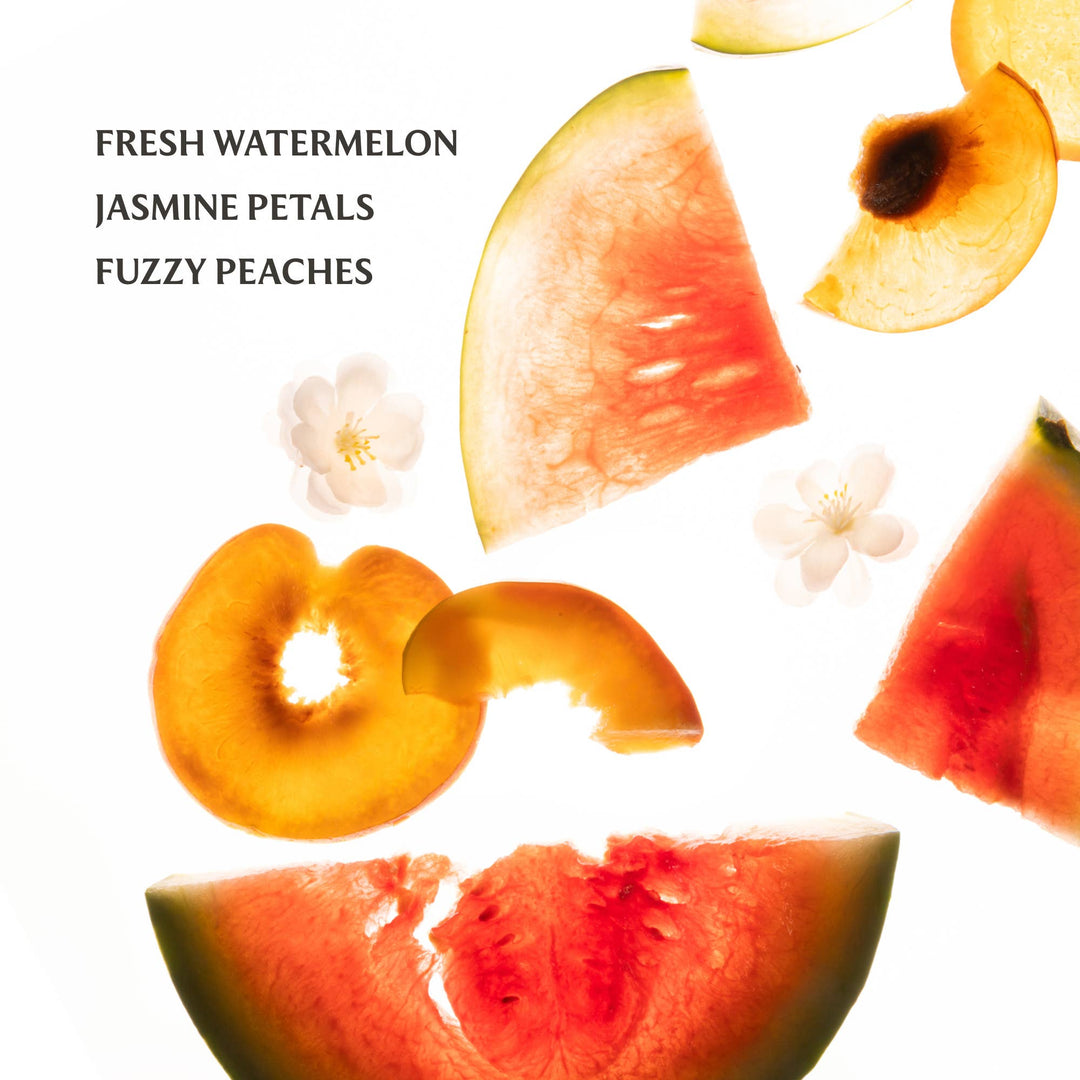 Wild Watermelon Power Mist Hydrating Hand Sanitizer Doorbuster