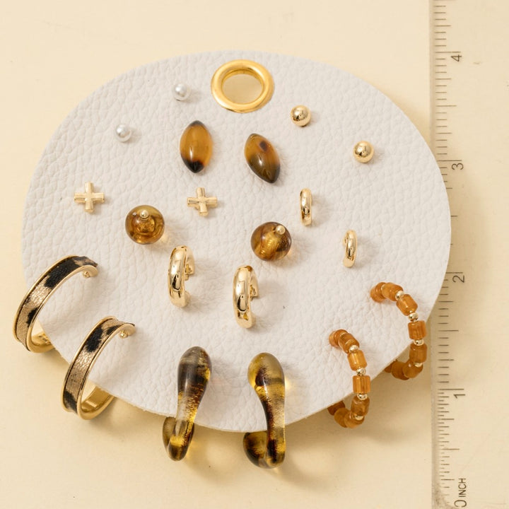 Ten Pair Assorted Resin Earrings Set