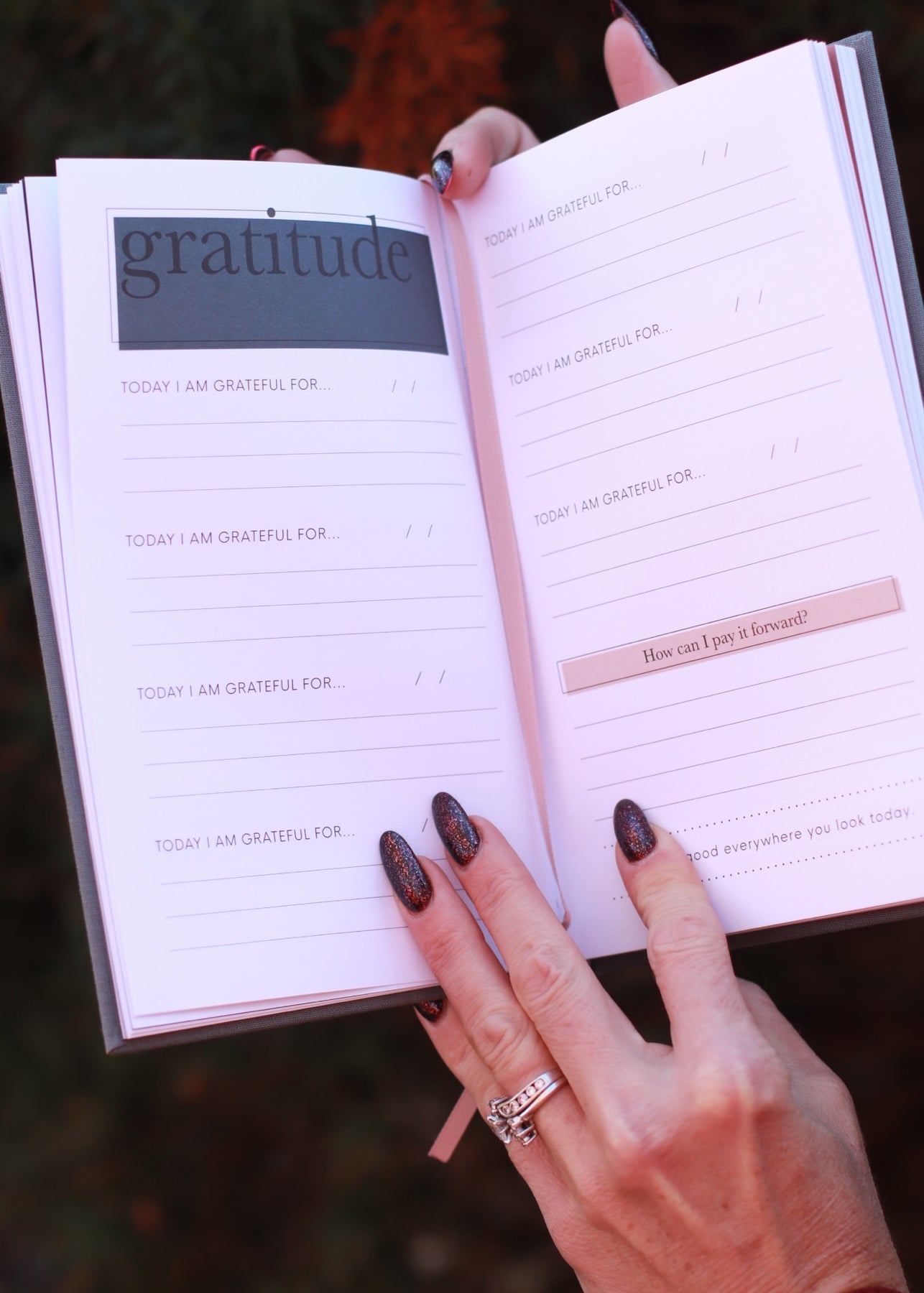 The Gratitude Journal for Women