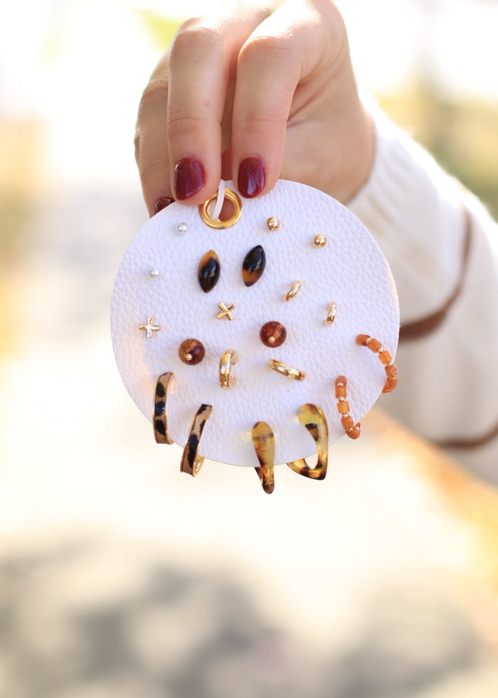 Ten Pair Assorted Resin Earrings Set