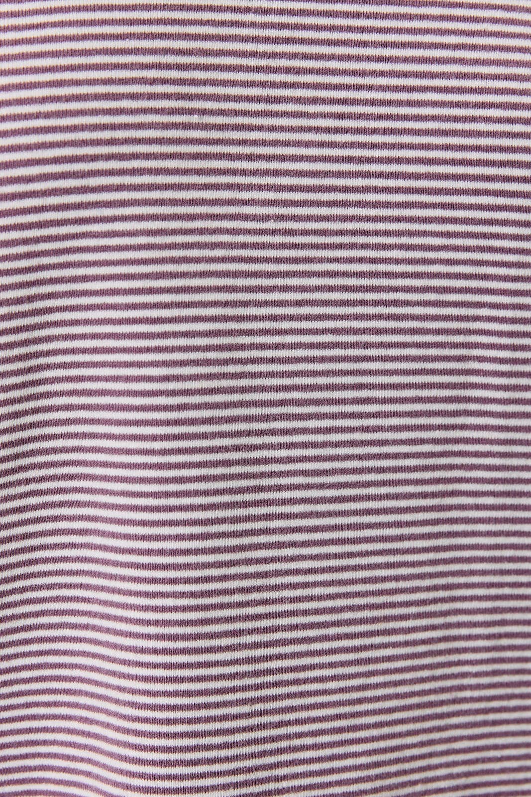 The Sage Cream Stripe Shorts